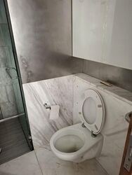 1 Moulmein Rise (D11), Apartment #502162401